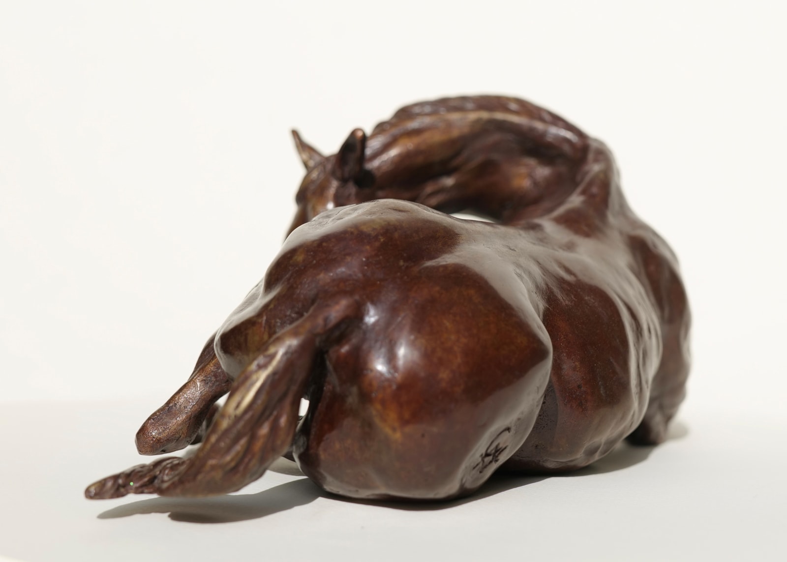 Claire Verity, Horse Resting, VER IV