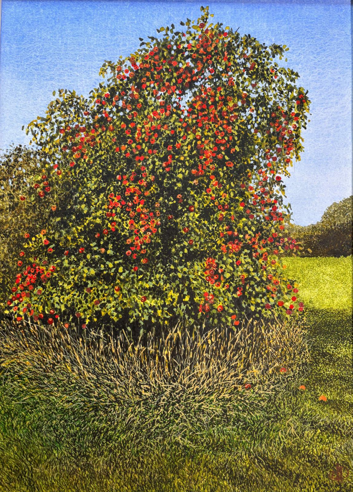 John Davies, Apple Tree in an Old Warwickshire Orchard (I)