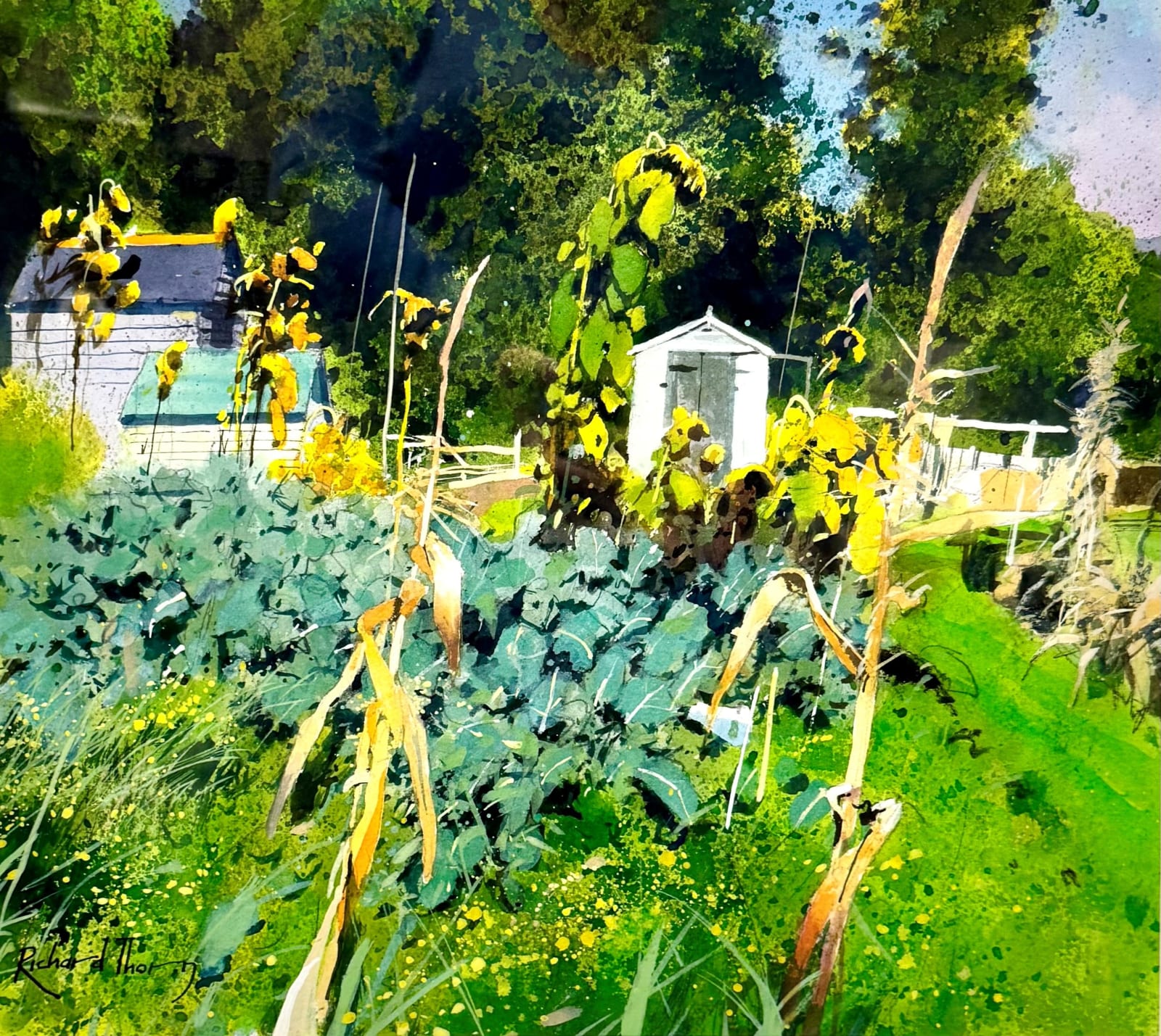 Richard Thorn, The Autumn Patch