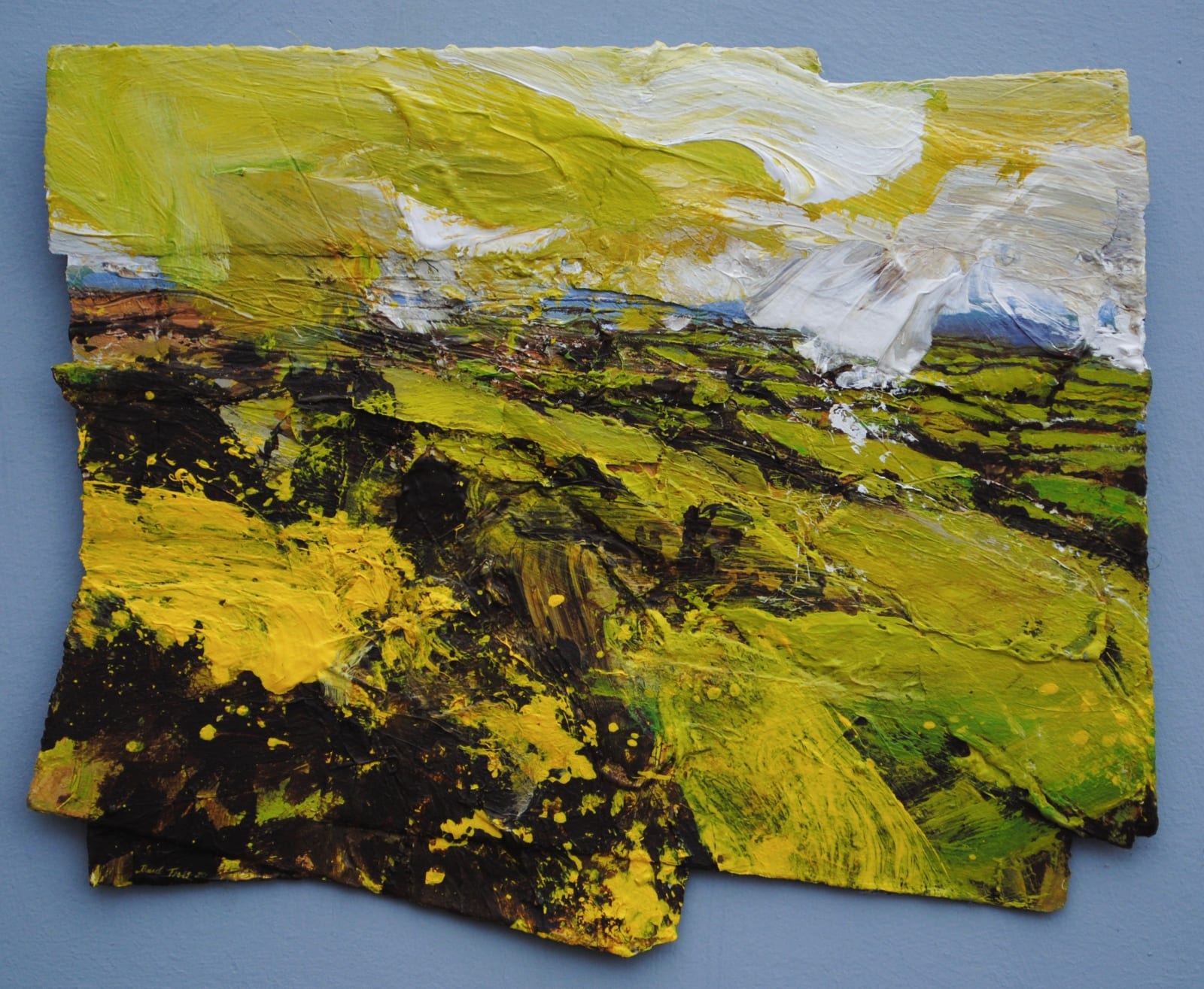David Tress, Dartmoor Edge. Gorse, Shilstone To, 2020