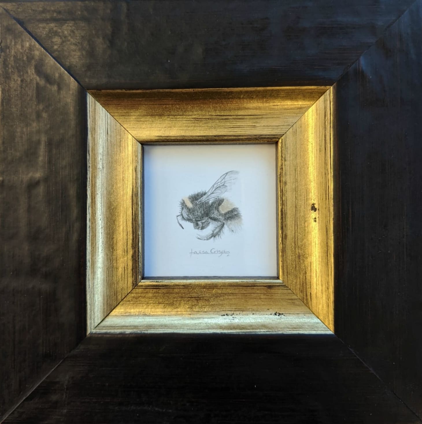 Louisa Crispin, Golden Bee (GB001)