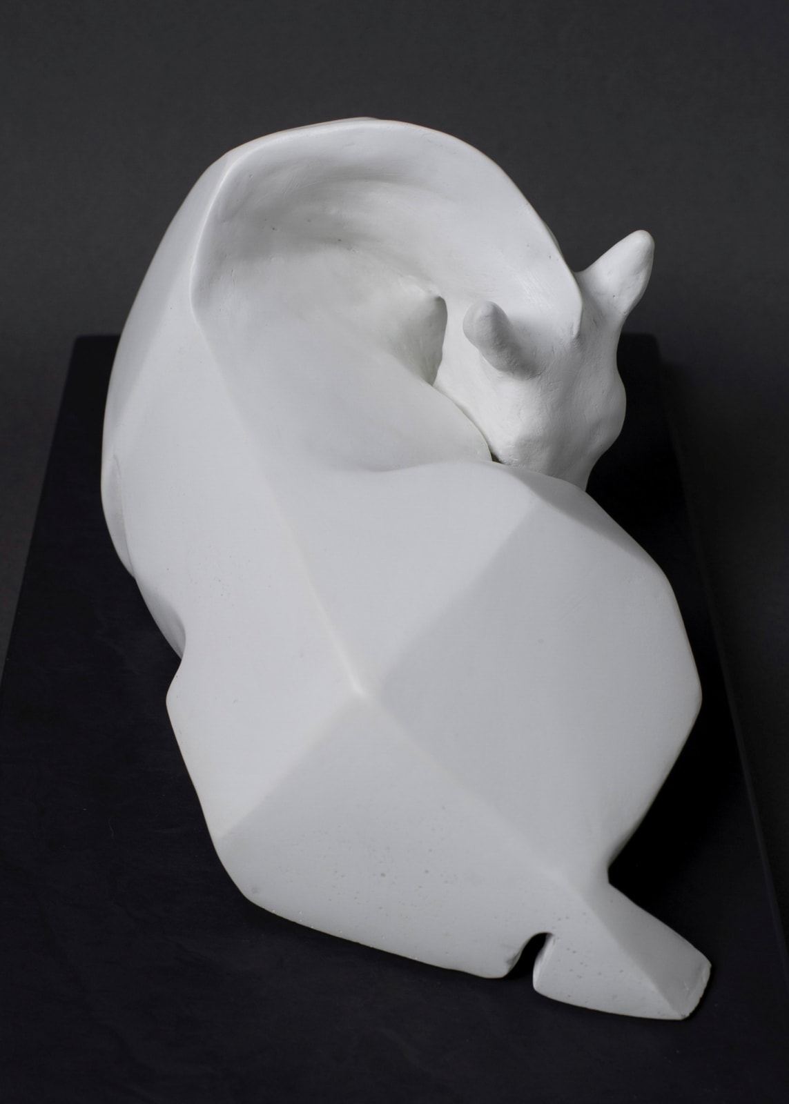 Claire Verity, VER V - Equus Albus