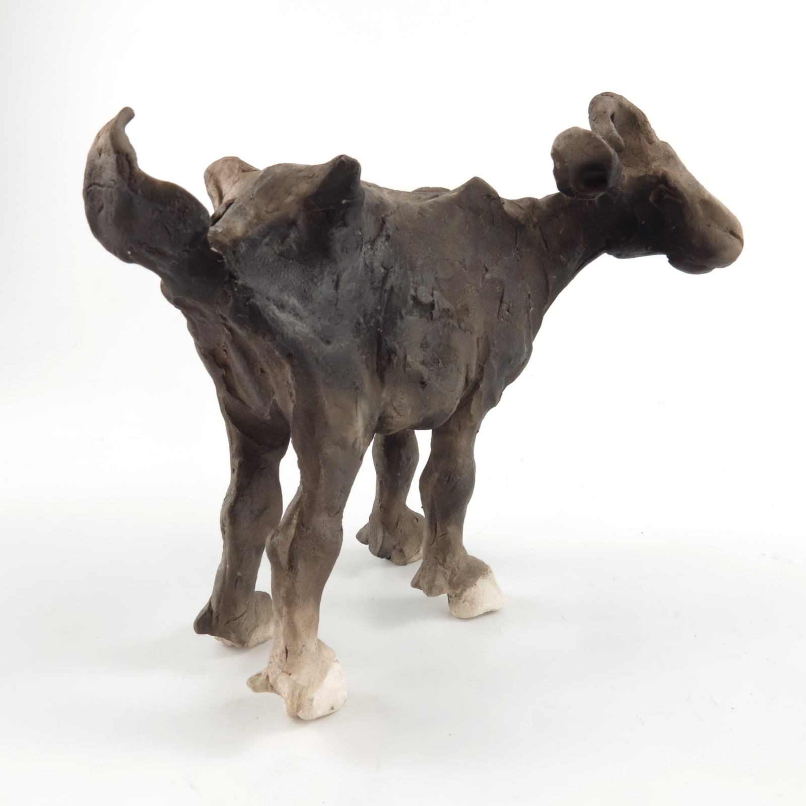 Chris Cummings, Goat