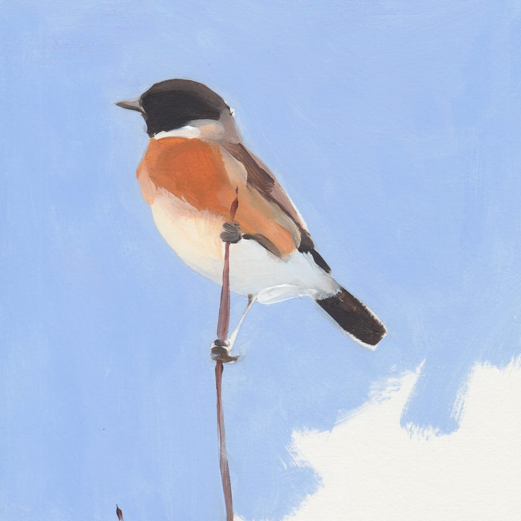 Esther Tyson, Stonechat