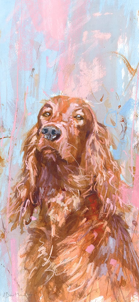 James Bartholomew, Irish Setter II