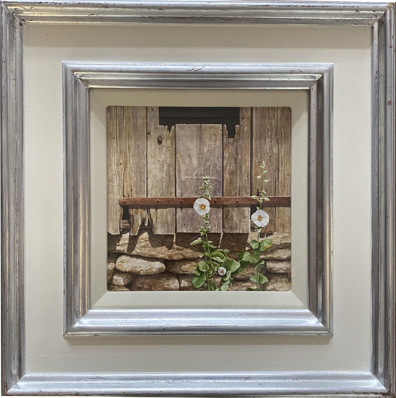 Nigel Ashcroft, Languedoc hollyhocks