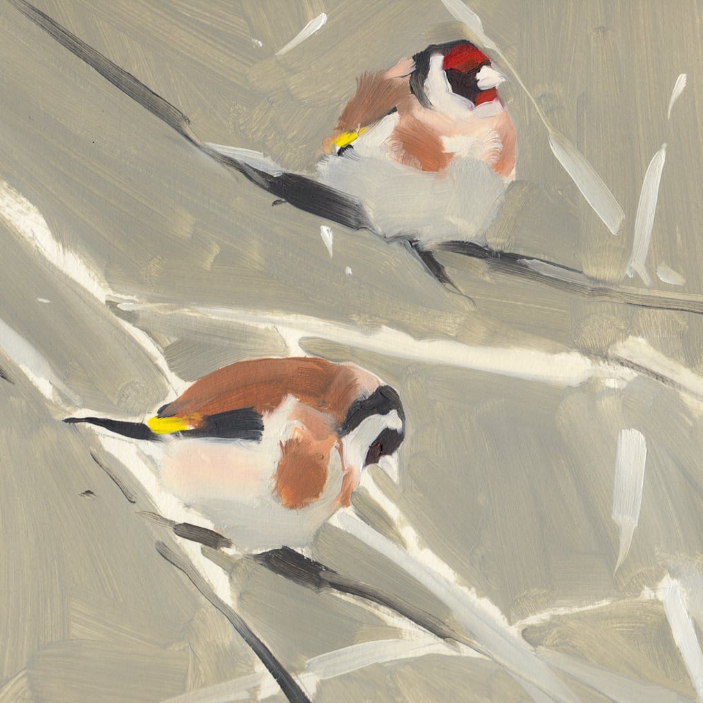 Esther Tyson, Winter goldfinch II