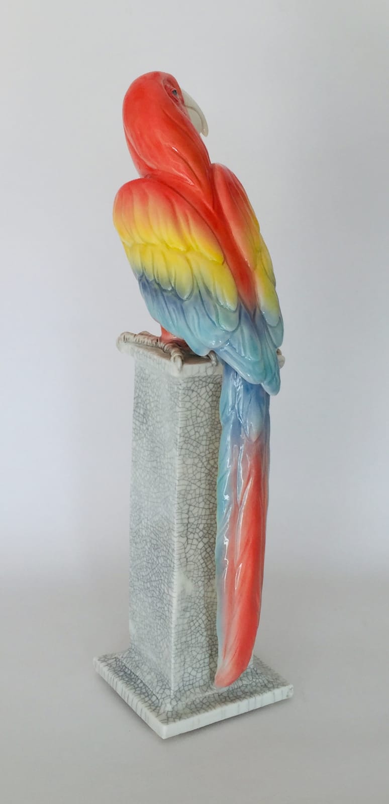 Marion Stewart, Macaw