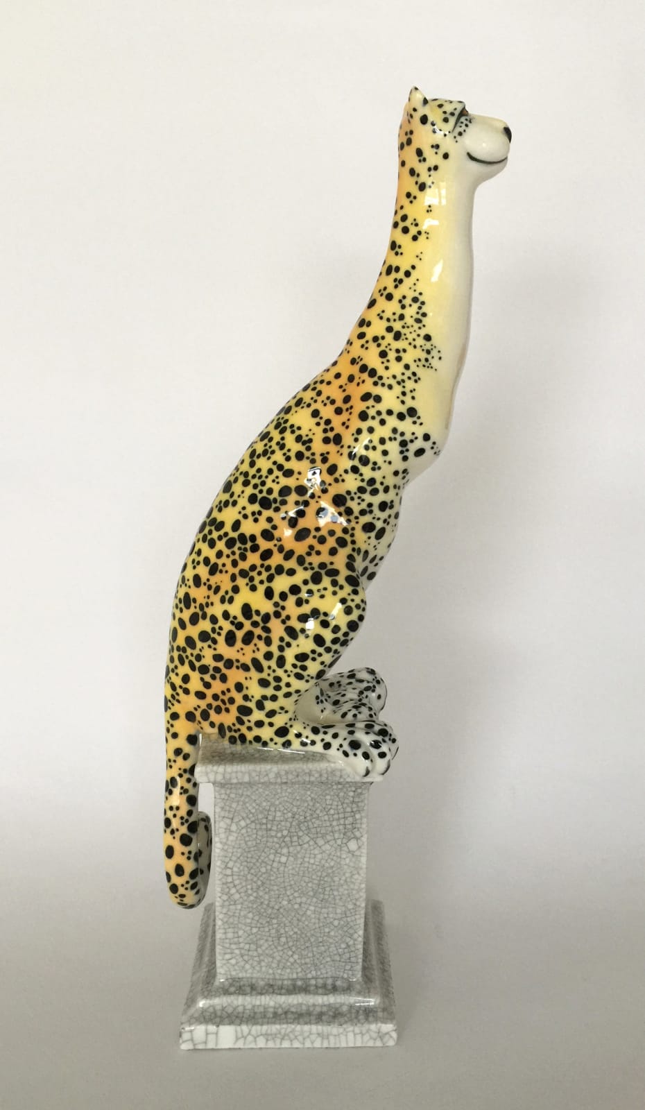 Marion Stewart, Single Cheetah