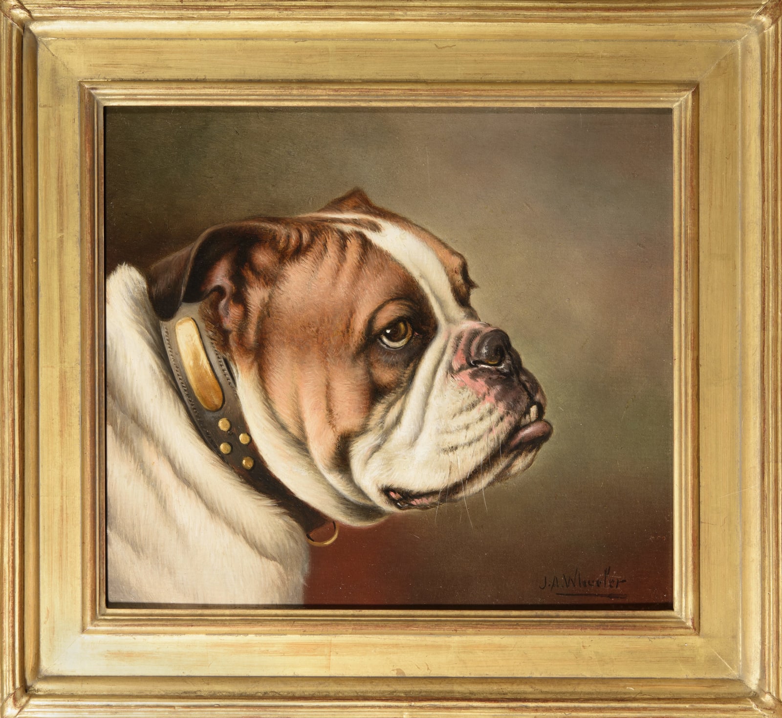 John Alfred Wheeler, A British Bulldog