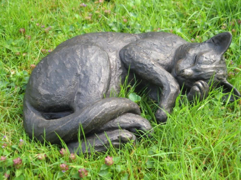 Suzie Marsh ARBS, Merlin - sleeping cat