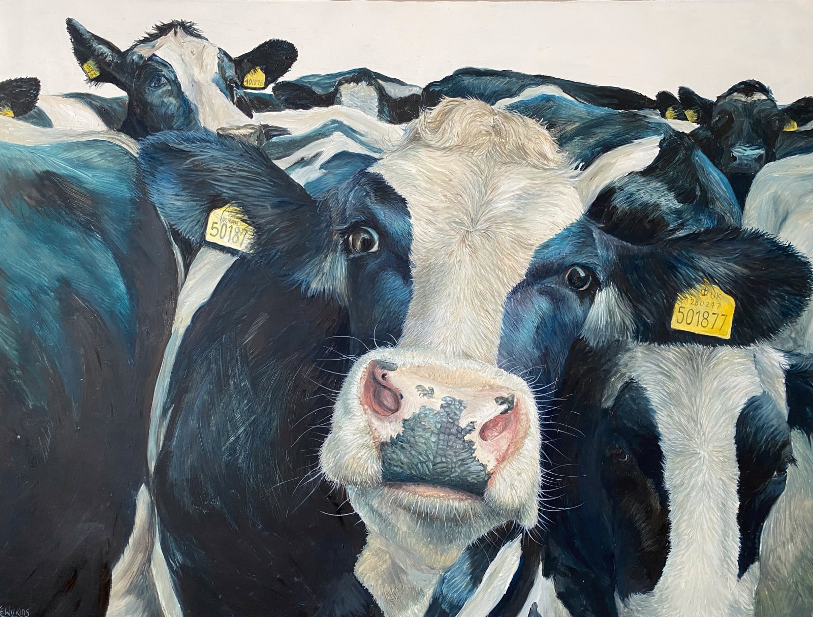 Katie Wilkins, Overly curious