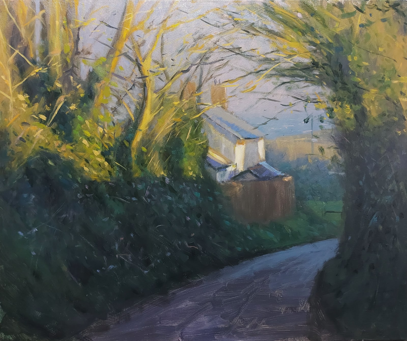 Robin Mason, A quiet lane, Cornwall