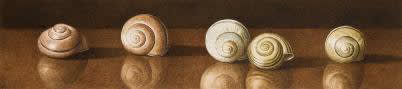 Nigel Ashcroft, Garden shells