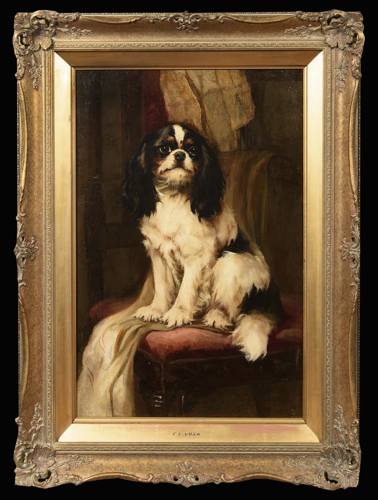 Hugh George Shaw, Study of a Cavalier King Charles Spaniel