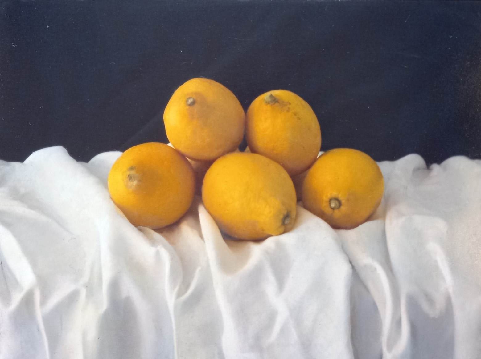Kate Verrion, Five lemons