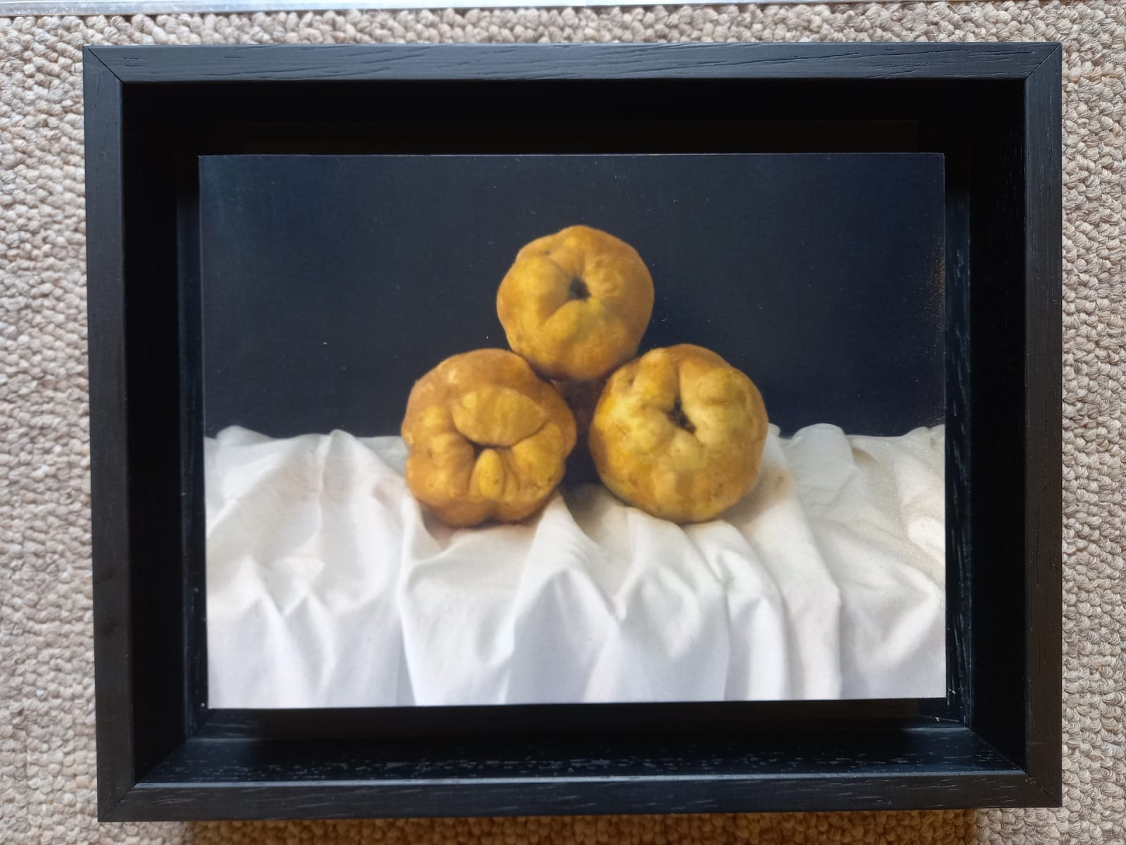 Kate Verrion, Autumn quinces