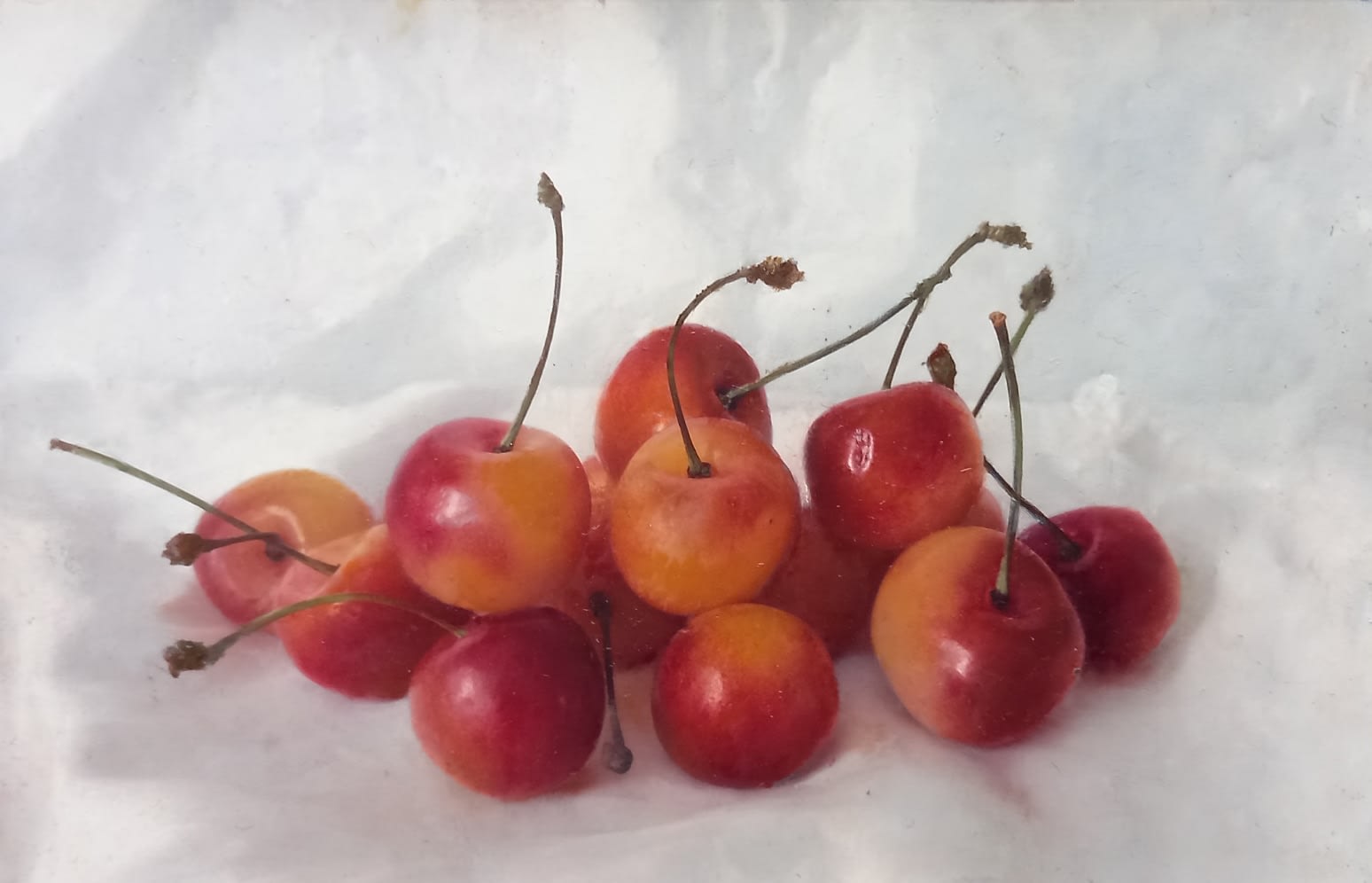 Kate Verrion, Summer cherries