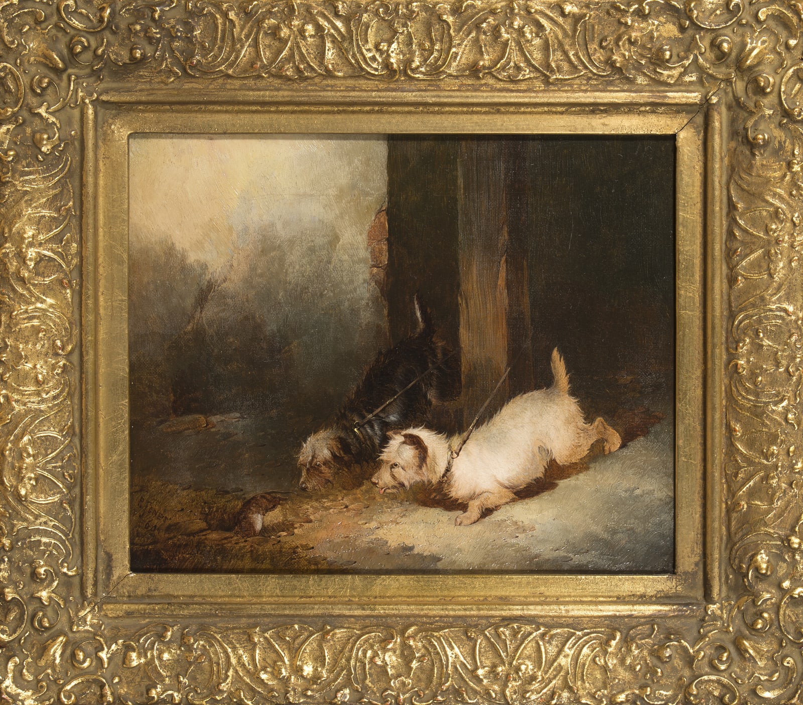 Paul Jones, Terriers Ratting