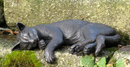 Suzie Marsh ARBS, Phoebe sleeping - hanging paw *