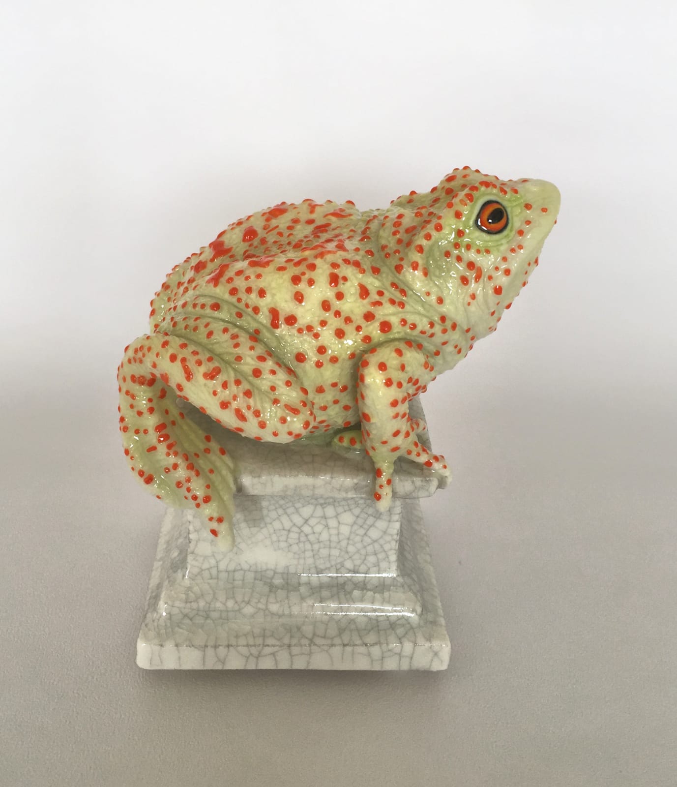 Marion Stewart, Toad