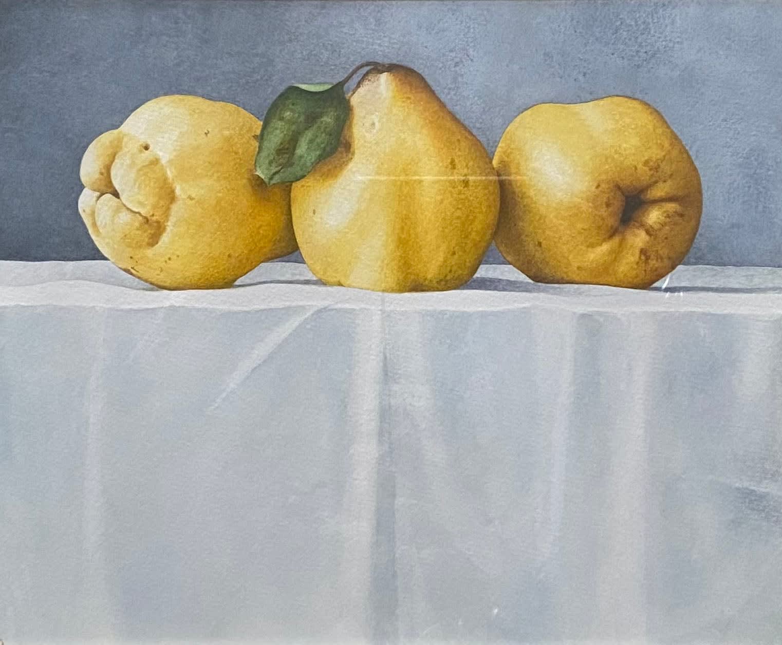 Nigel Ashcroft, Quinces on a White Cloth