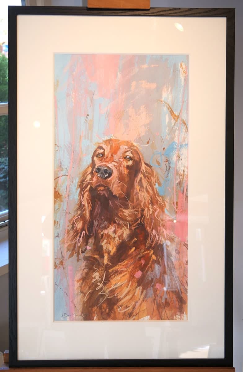 James Bartholomew, Irish Setter II