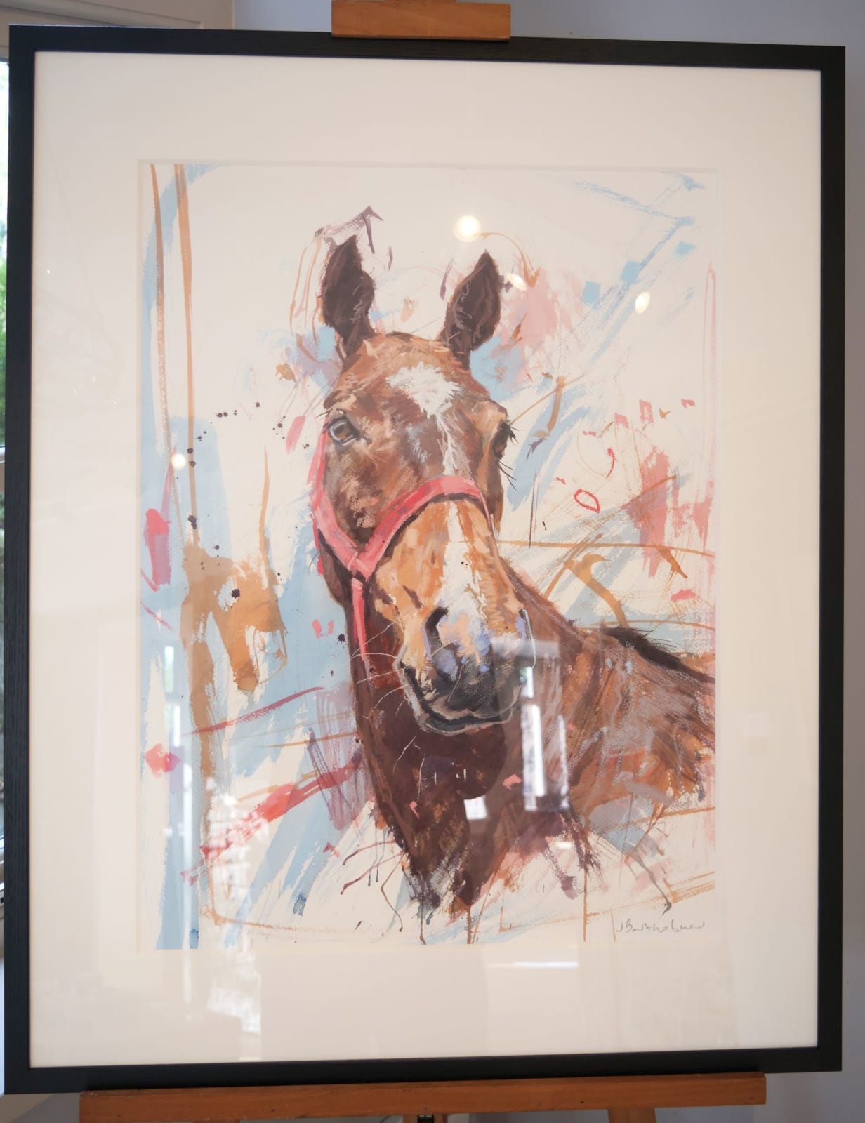 James Bartholomew, Bay horse in red halter