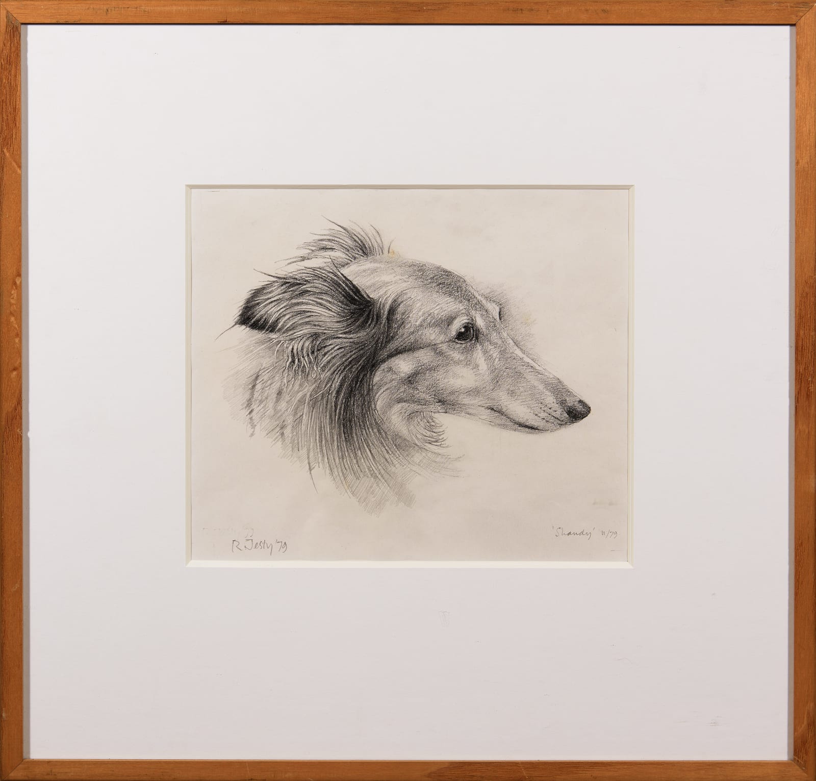 Ronald Jesty RBA, Shandy, the Artist's Dog '79