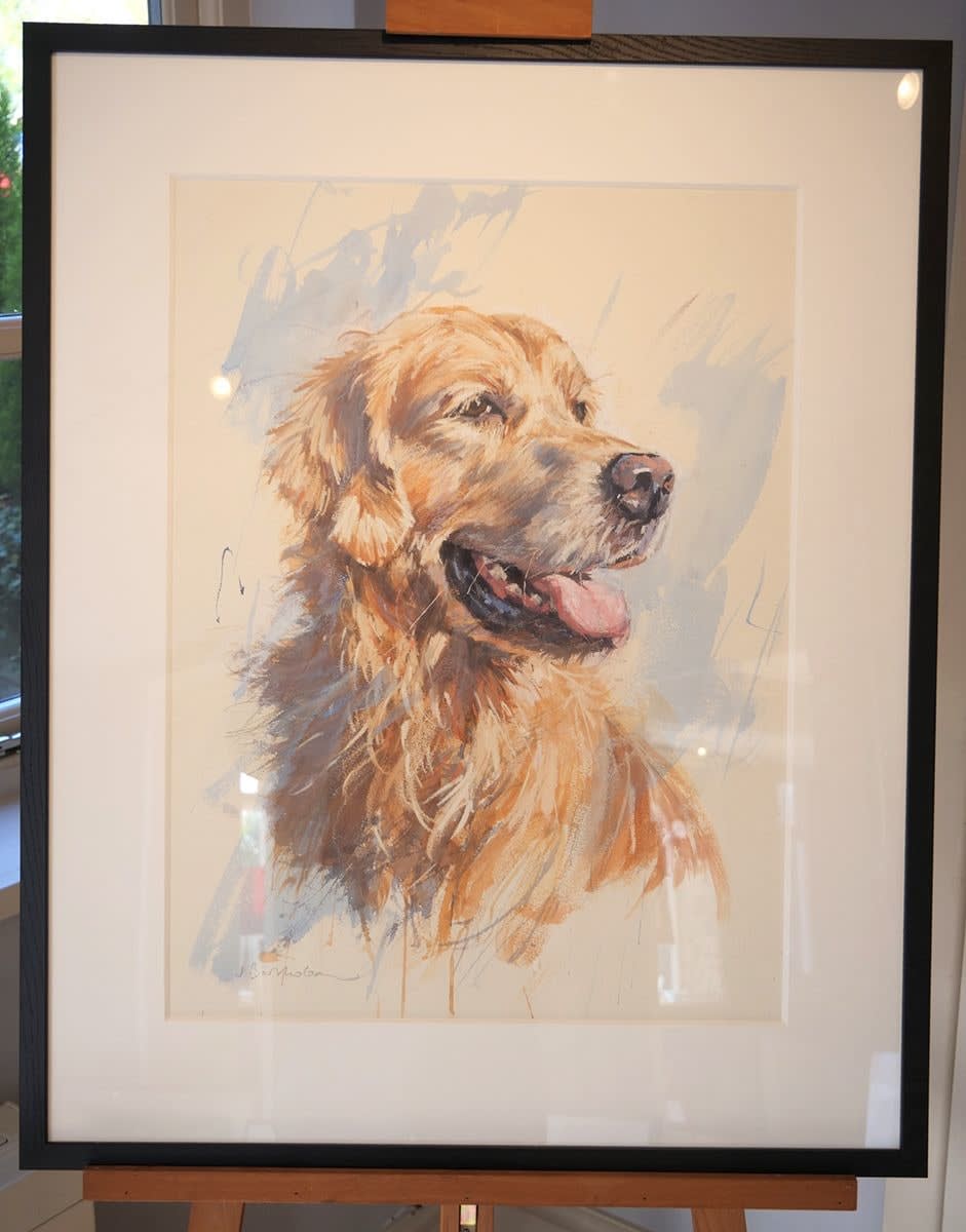 James Bartholomew, Golden Retriever II