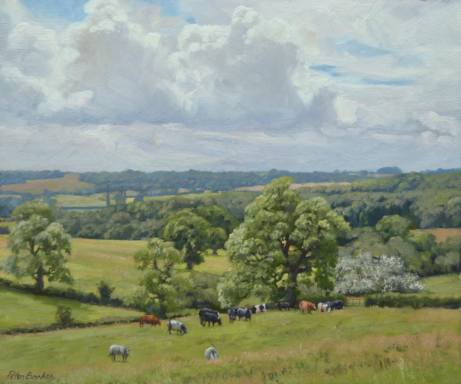 Peter Barker RSMA, Towards Wardley Wood