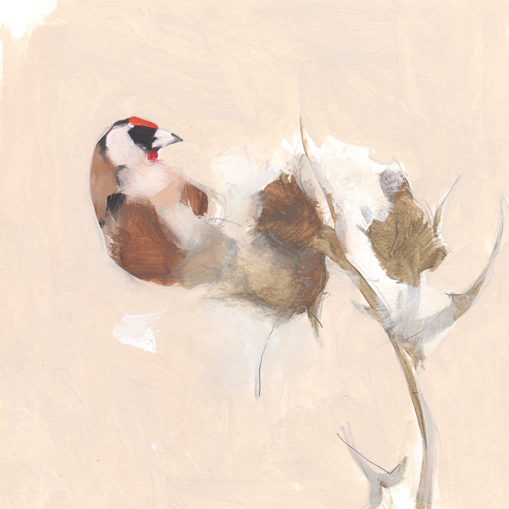 Esther Tyson, Goldfinch on a thisle