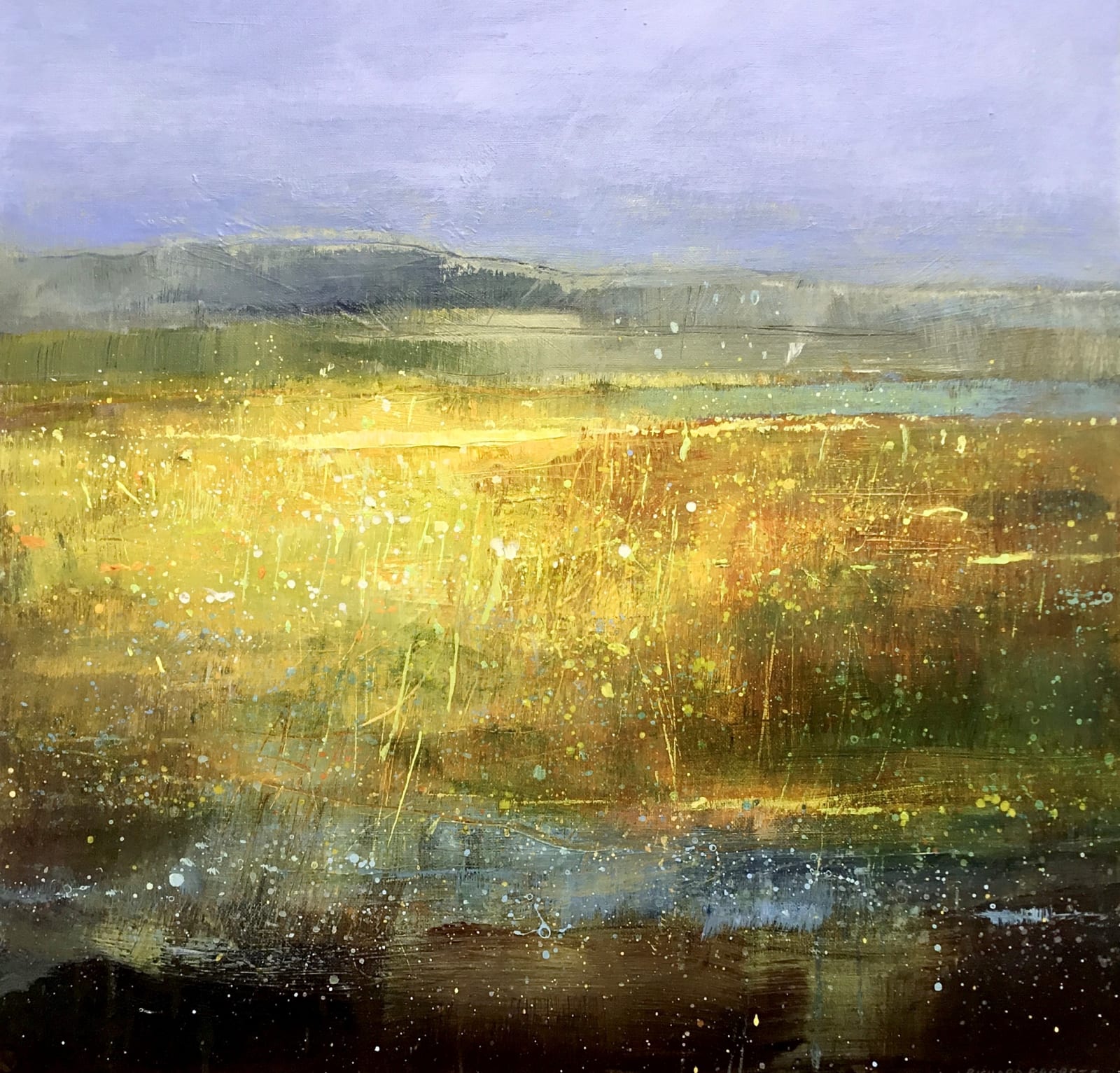 Richard Barrett, Spring light on the heath SOLD