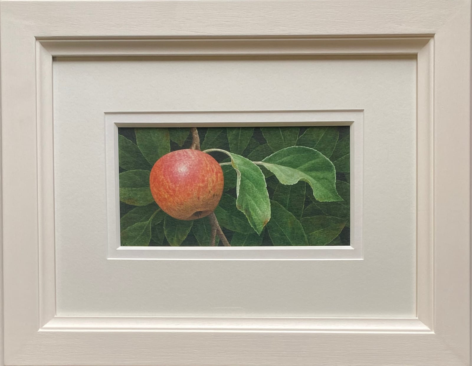 Nigel Ashcroft, Apple