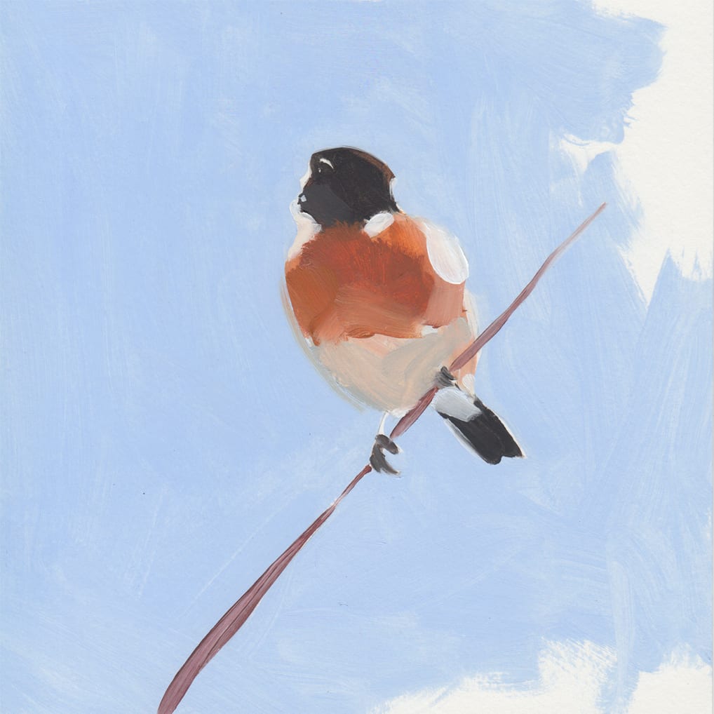 Esther Tyson, Stonechat III