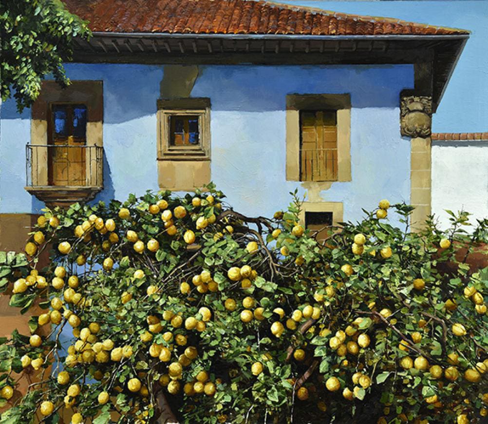 Alan Thompson Spanish Lemon Tree John Noott Online Art Gallery