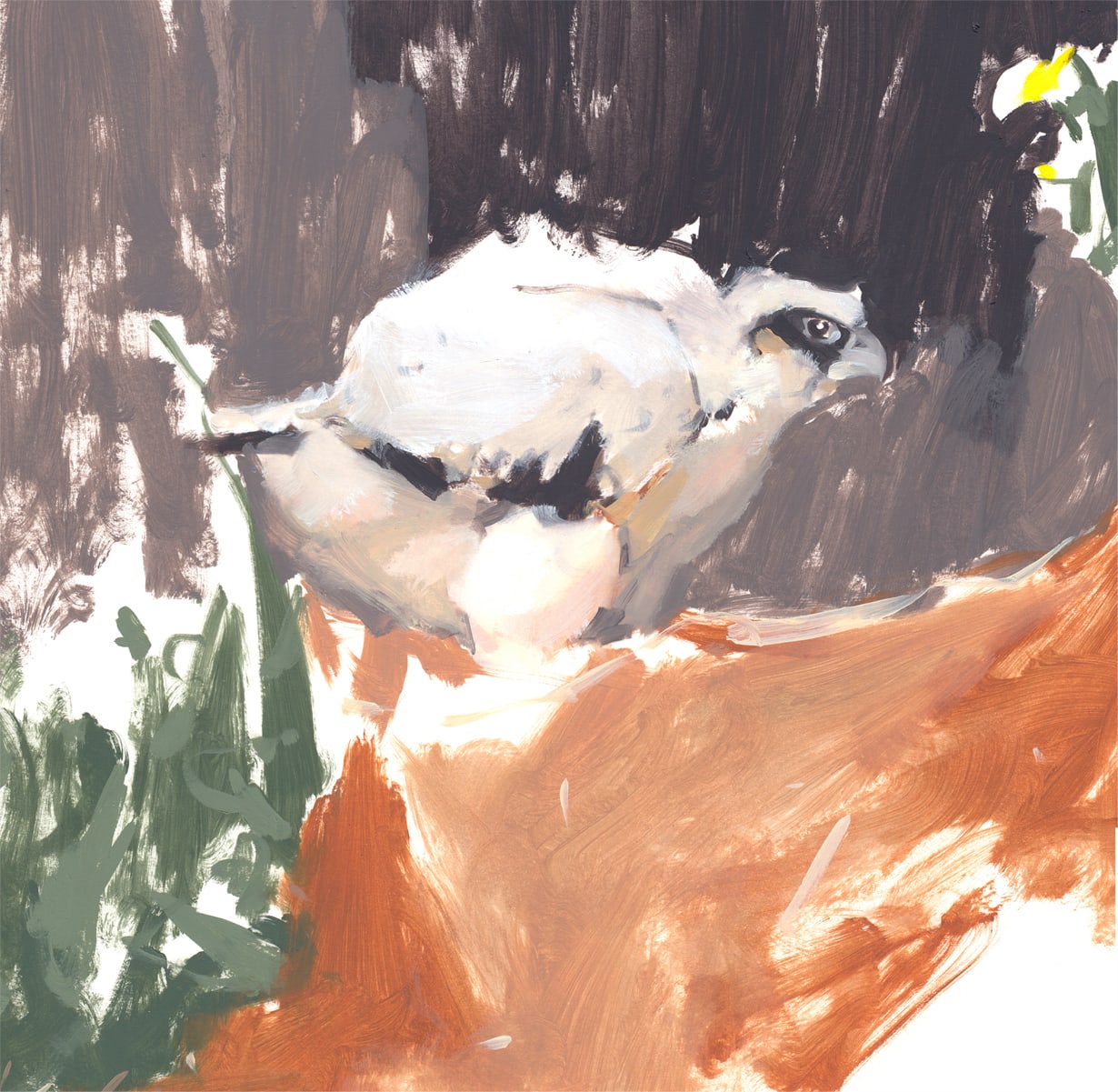 Esther Tyson, First feathers (young Peregrine)