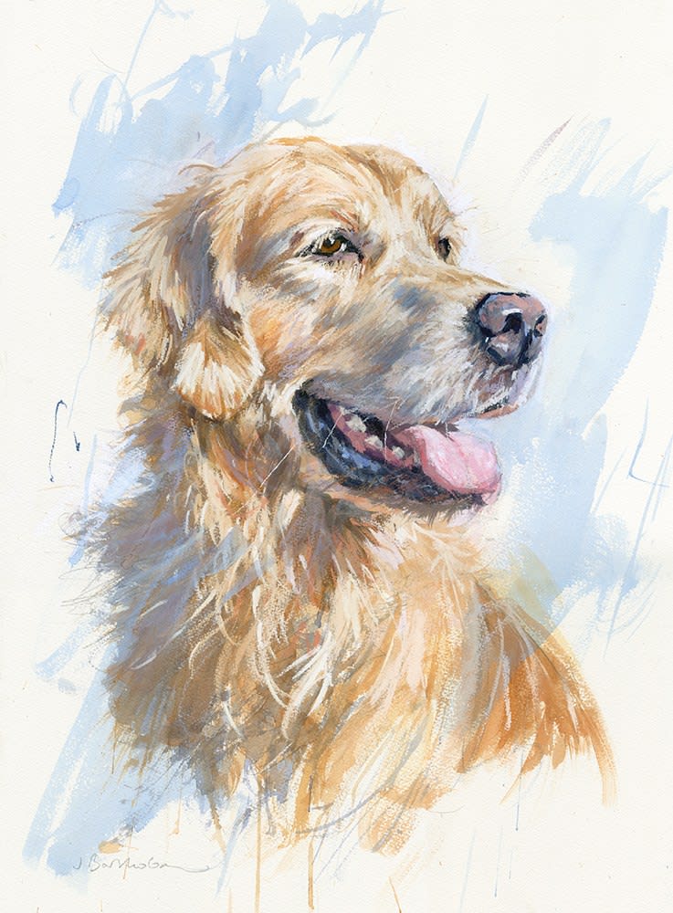 James Bartholomew, Golden Retriever II