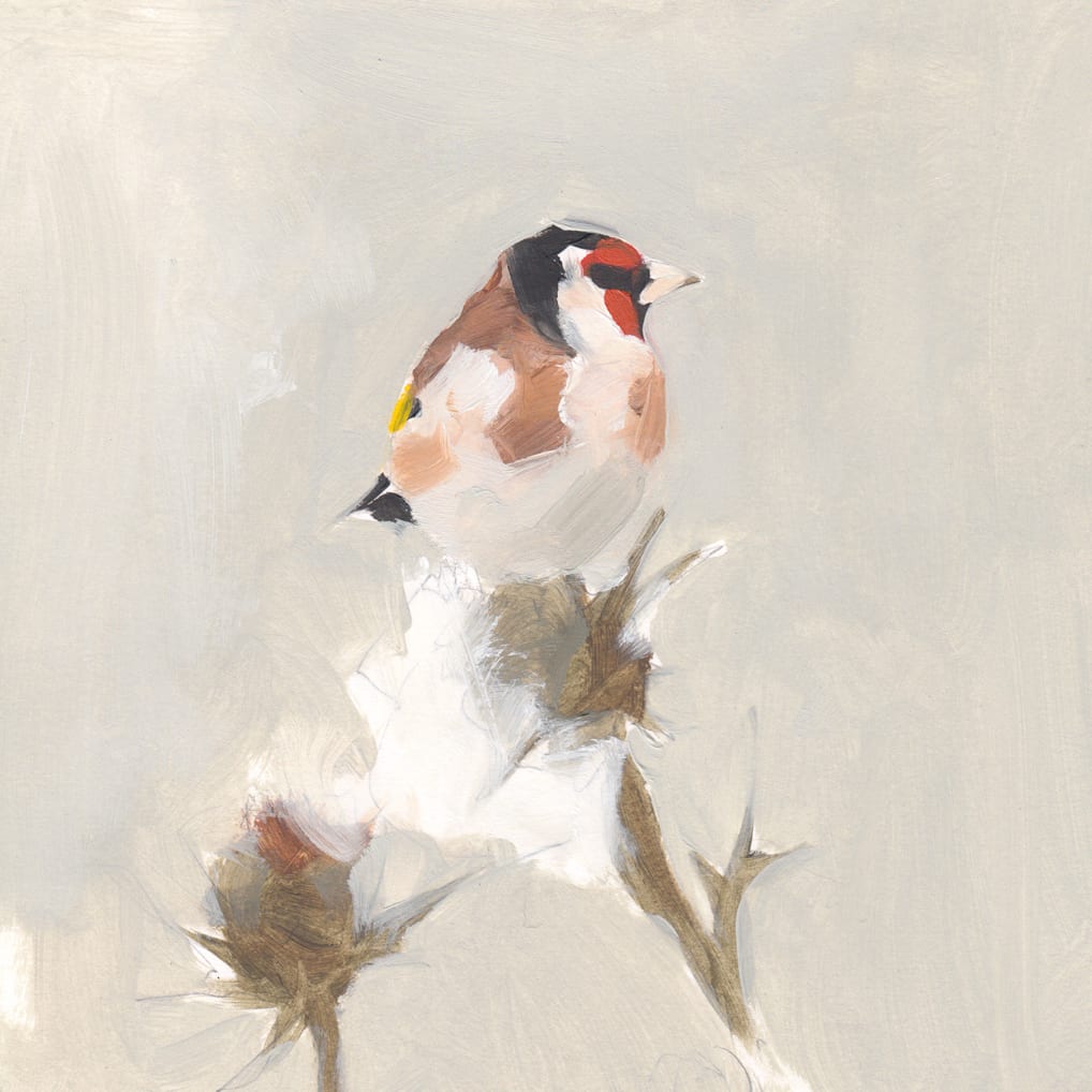 Esther Tyson, Goldfinch on thistle III