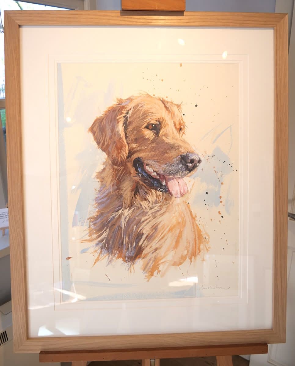 James Bartholomew, Golden retriever I