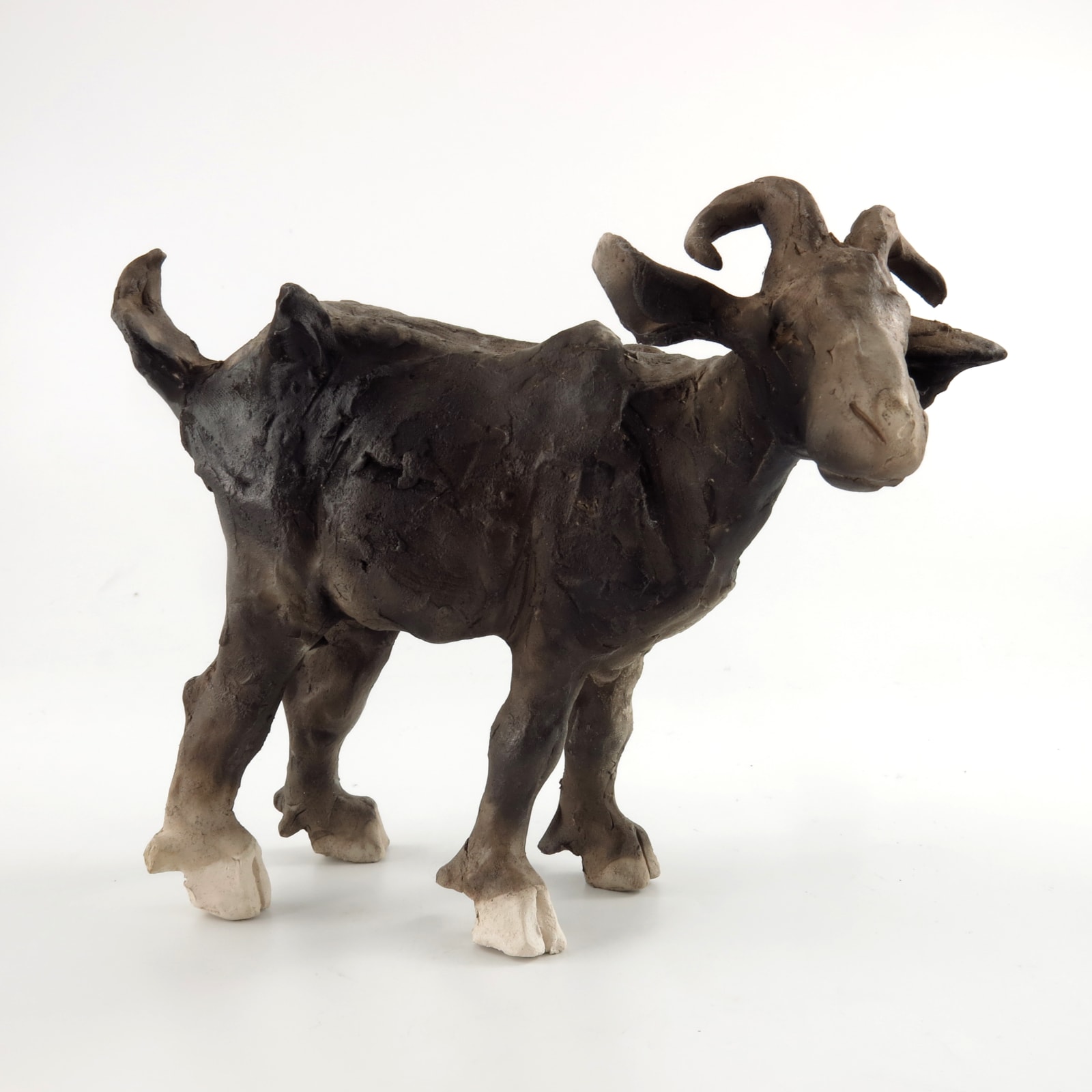 Chris Cummings, Goat