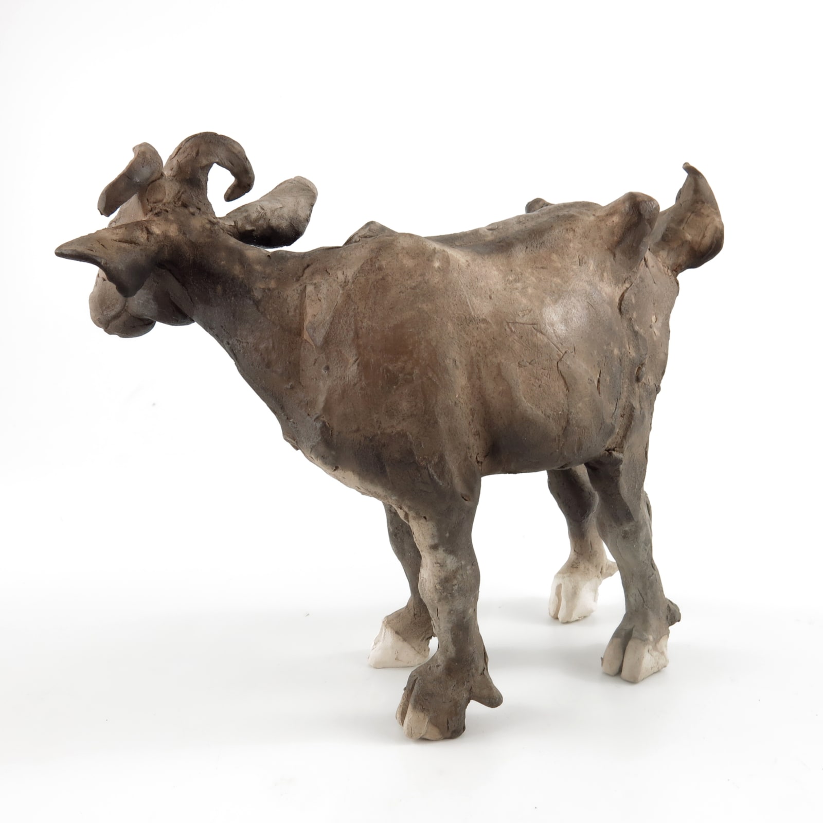 Chris Cummings, Goat