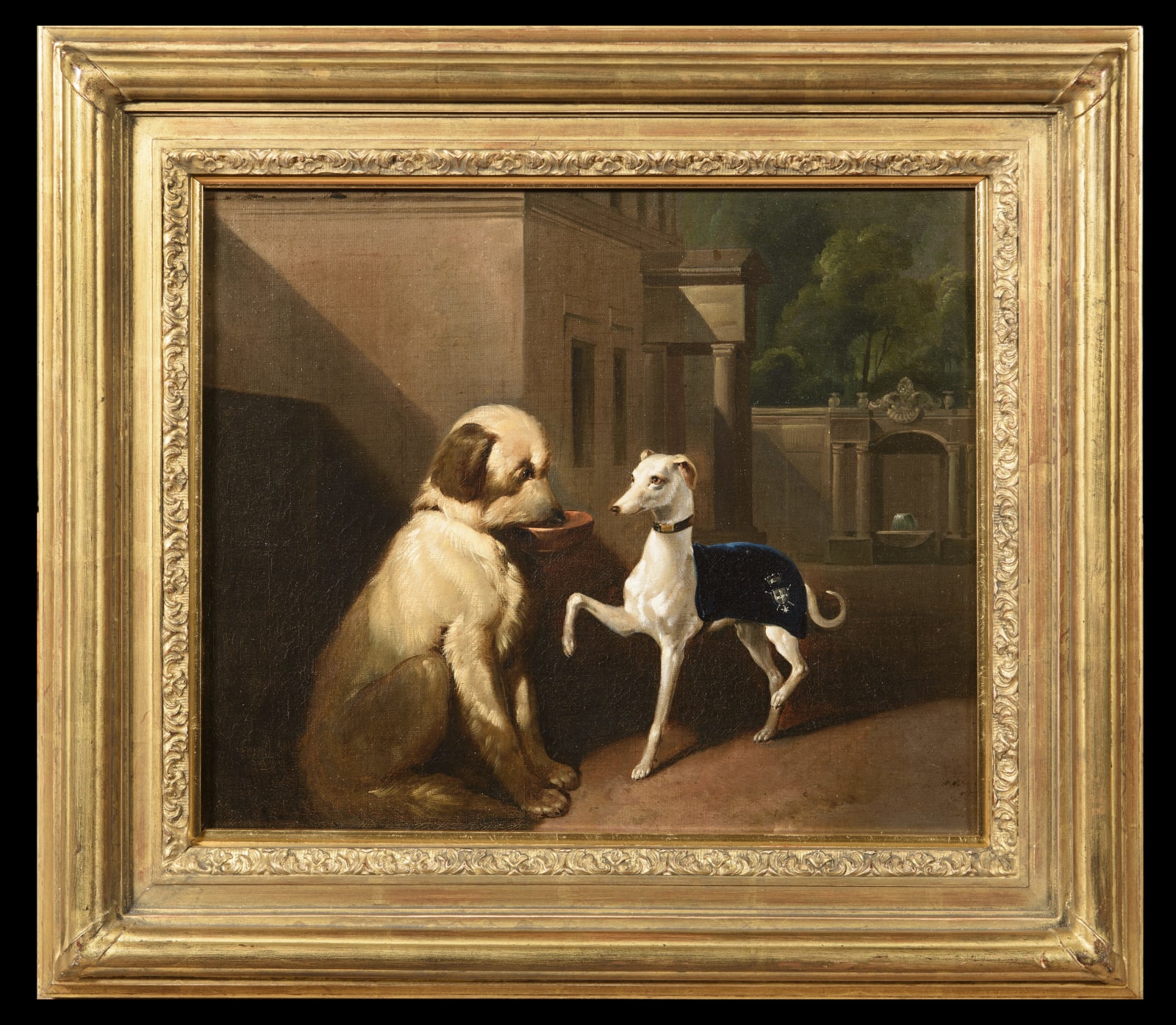 Continental School, The Begging Bowl - Italian Greyhound & another dog