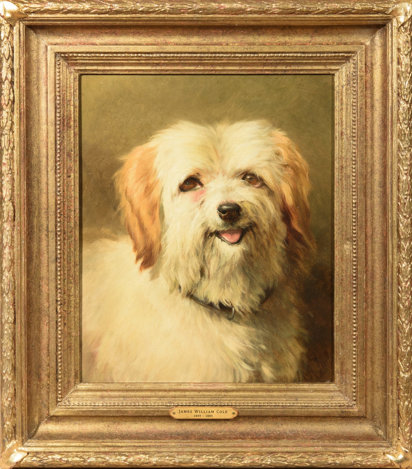 James William Cole, An appealing glance