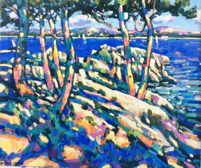 Terence Clarke, Cotes Sauvage