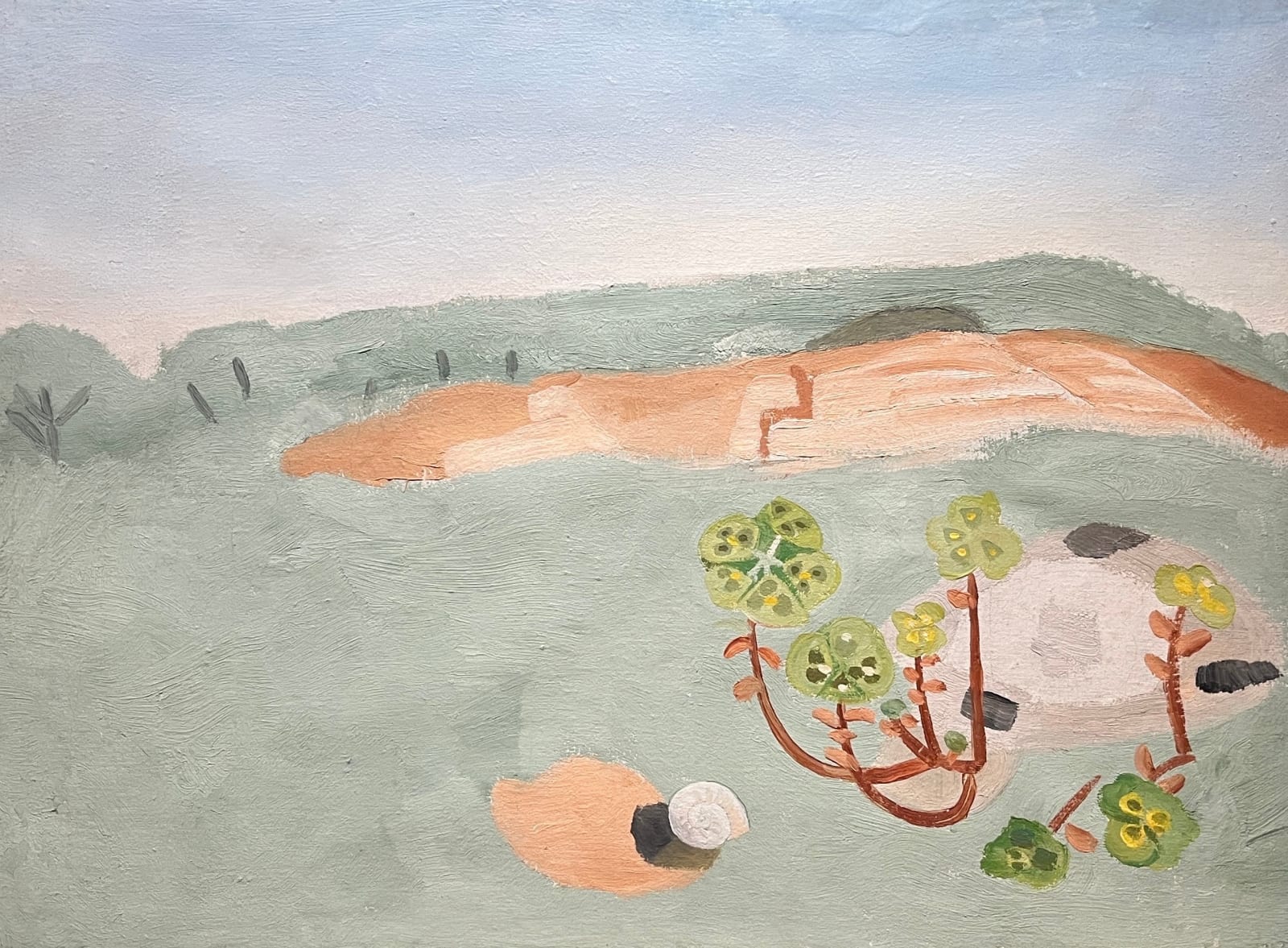 Winifred Nicholson, Wild Flowers of the Garrigue, c.1935
