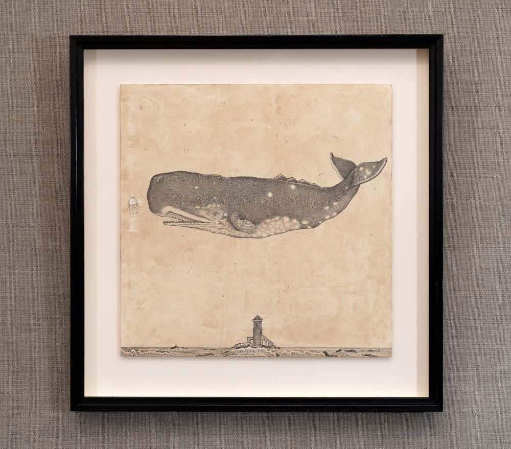 Andrea Collesano, MEGAPTERA (Whale) , 2025