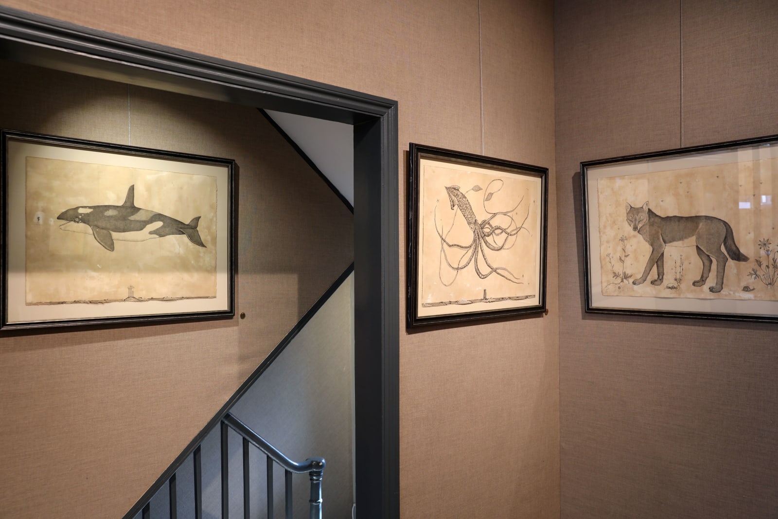 Andrea Collesano, GURGES AQUAE (squid), 2022