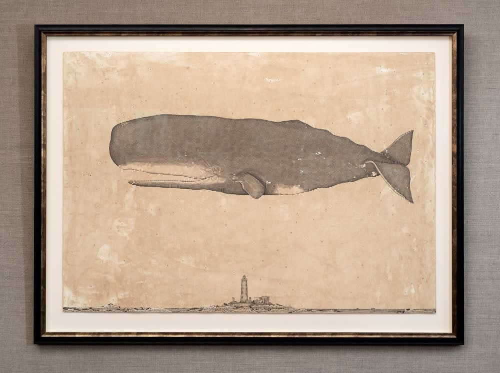 Andrea Collesano, PHYSETER MACROCEPHALUS ( Whale ), 2025