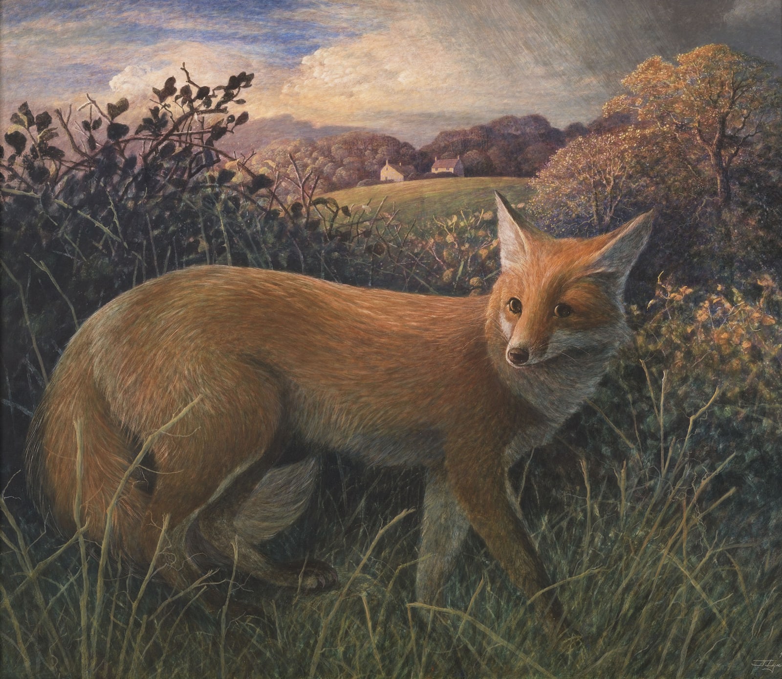 James Lynch, Reynard the Fox